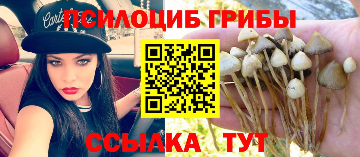 Алексин  Галлюциногенные грибы мицелий  Вход с VPN  Галлюциногенные грибы Cubensis 