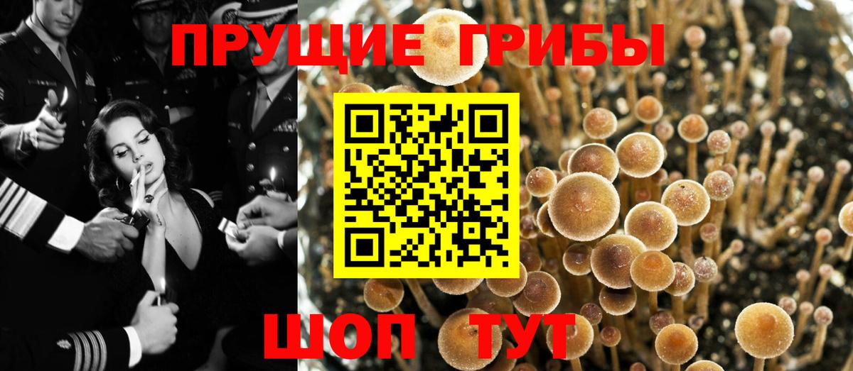 Псилоцибиновые грибы мухоморы Алексин